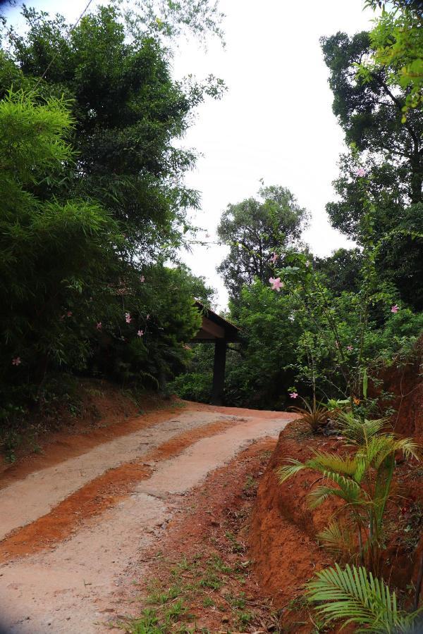 Coorg Nature Breeze Home Stay Madikeri Εξωτερικό φωτογραφία